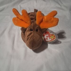 Vintage Chocolate The Moose Ty Beanie Babies Tag Protector 5thGen Retired